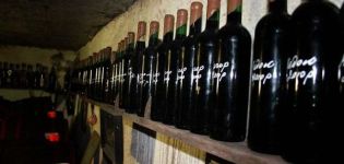 7 besten Rezepte für die Herstellung von Lydia-Wein zu Hause