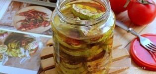 Una deliciosa recepta de carbassons al forn per l'hivern a casa