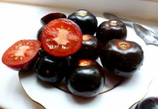 Eigenschaften und Beschreibung der Sorte der Tomate Indigo Rose