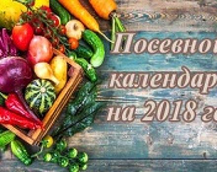Препоръки за градинари за 2021 г. според лунния календар за сеитба