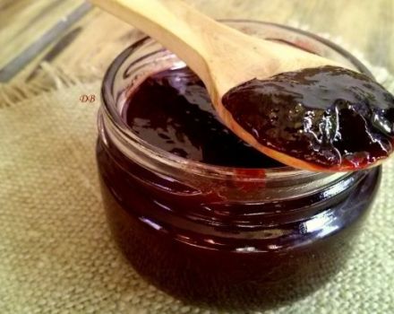 Una receta sencilla para hacer mermelada de ciruela para el invierno en casa.