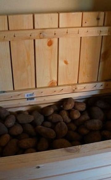 Wie man einen Rettich für den Winter zu Hause in einem Keller oder einer Wohnung aufbewahrt, kann man einfrieren