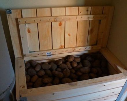Како сачувати ротквицу за зиму код куће у подруму или стану, да ли је могуће замрзавање