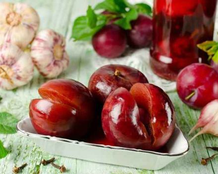 13 Rezepte für die Herstellung von Pflaumenkonserven in Sirup für den Winter