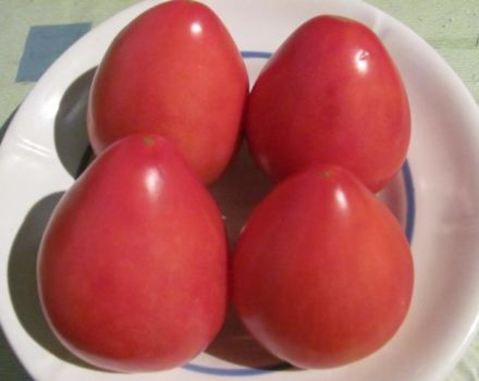 Characteristics and description of the tomato variety Fatima