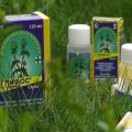 Instruções para o uso do herbicida Glifos de ervas daninhas