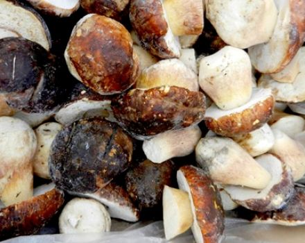 Како можете замрзнути млечне гљиве за зиму код куће
