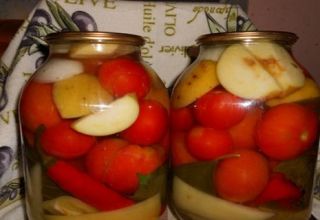 מתכונים לשימורים של עגבניות עם תפוחים לחורף תלקקו את האצבעות