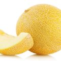 Description de la variété de melon au miel, recommandations de culture et d'entretien