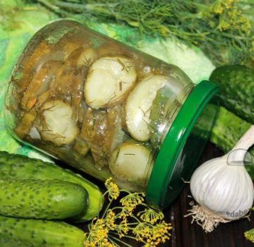 As melhores receitas de pepinos em conserva com alho para o inverno e seu armazenamento