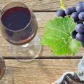 6 Schritt-für-Schritt-Rezepte zur Herstellung von Wein aus Isabella-Trauben zu Hause
