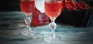9 enkle oppskrifter for å lage vin fra viburnum hjemme