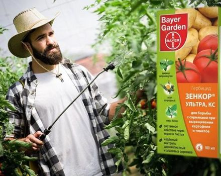 Herbicido Zenkor instrukcijos ir produkto vartojimo taisyklės