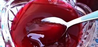 TOP 10 des recettes faciles étape par étape pour faire de la gelée de cerise pour l'hiver