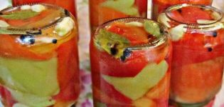 6 einfache Rezepte für eingelegte Paprikaschoten für den Winter