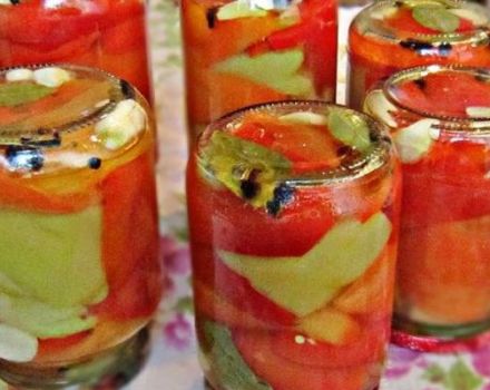 6 recetas fáciles de pimientos en escabeche instantáneos para el invierno
