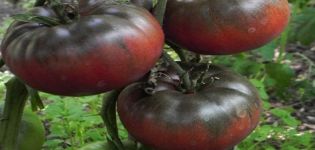 Descripción y características de la variedad de tomate Black Baron