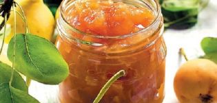 Une recette simple de confiture de poires et d'oranges pour l'hiver