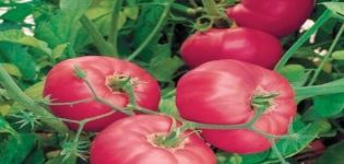 Beschreibung der sowjetischen Tomatensorte und ihrer Eigenschaften