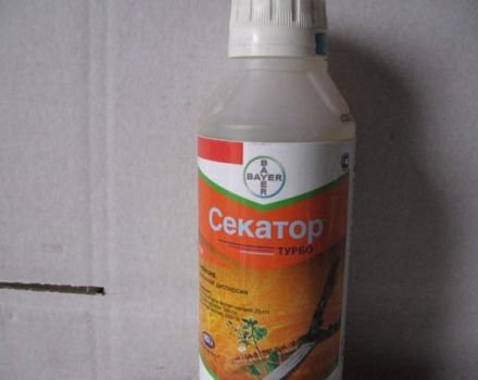 Инструкции за употреба на хербицид Secator Turbo, описание на лекарството и дозировка