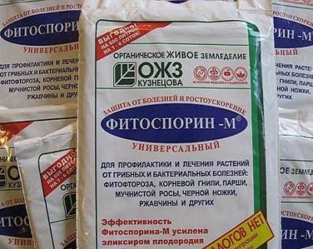 Οδηγίες χρήσης του μυκητοκτόνου Fitosporin, ποσοστά κατανάλωσης και ανάλογα