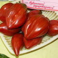 Varieties, characteristics and descriptions of pepper-shaped varieties of tomatoes, their yield and cultivation