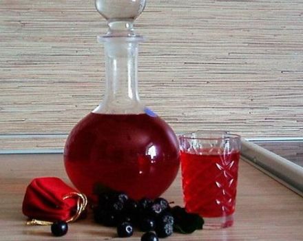 Једноставан рецепт за прављење вина од црне и црне рибизле код куће