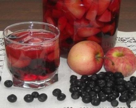 9 bästa recept för att tillverka juice från ranetki för vintern