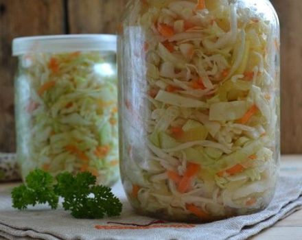 As 12 melhores receitas com o preparo passo a passo de repolho precoce em potes para o inverno
