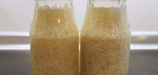 TOP 10 Rezepte für die Ernte von Meerrettich für den Winter mit und ohne Sterilisation zu Hause