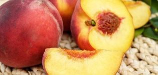 Nutzen und Schaden von Pfirsichen für die Gesundheit, Zusammensetzung, Auswahlregeln und Eigenschaften