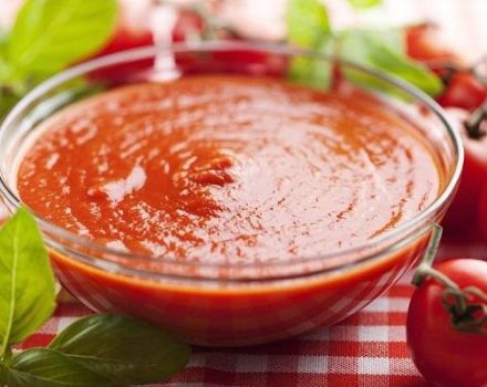 TOP 8 receitas para fazer molho de tomate com maçãs para o inverno