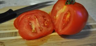 Características e descrição da variedade de tomate Presidente, seu rendimento e cultivo