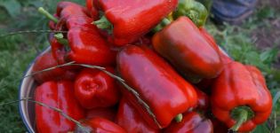 Caractéristiques et description de la variété de poivre miracle californien et son rendement