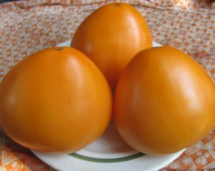 Características y descripción del tomate variedad Golden Domes, su rendimiento
