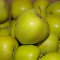 Περιγραφή και ποικιλίες των Golden Delicious μήλων, κανόνες καλλιέργειας και φροντίδας