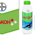 Instructions for the use of the fungicide Falcon for grapes and the duration