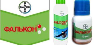 Istruzioni per l'uso del fungicida Falcon per uva e durata