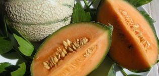 Hvorfor kan meloner have orange kød inde, hvilken slags sorter er de?