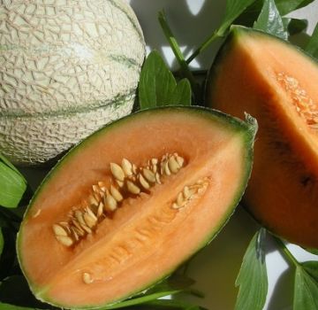 Warum kann Melone Orangenfleisch enthalten, um welche Sorten handelt es sich?