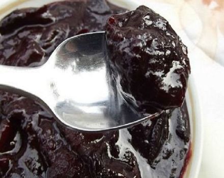 Una receta sencilla para hacer mermelada de ciruela en chocolate para el invierno