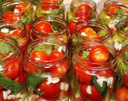 As 3 principais receitas para cozinhar tomates picantes para o inverno