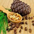 Khi nào có thể và làm thế nào để thu thập quả thông một cách chính xác