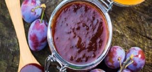 Blackthorn Marmeladenrezepte für den Winter mit und ohne Samen