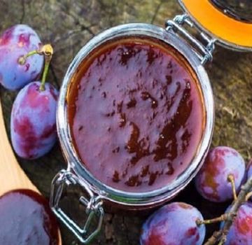Blackthorn jam recipes for the winter with and without seeds
