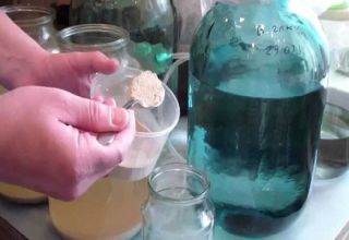 Instruções sobre como clarificar o vinho com bentonita em casa
