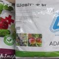 Instruktioner för användning av fungicid Shavit för druvor, bearbetningstider och analoger