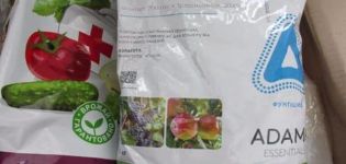 Instructions pour l'utilisation du fongicide Shavit pour les raisins, les temps de traitement et les analogues