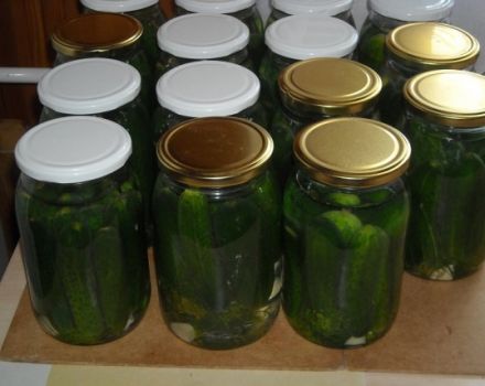 Enkla recept för gurkor med kanel för vintern utan sterilisering i burkar