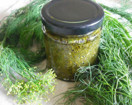 The best recipes for preparing dill for the winter, which is better for preservation, how to preserve the aroma